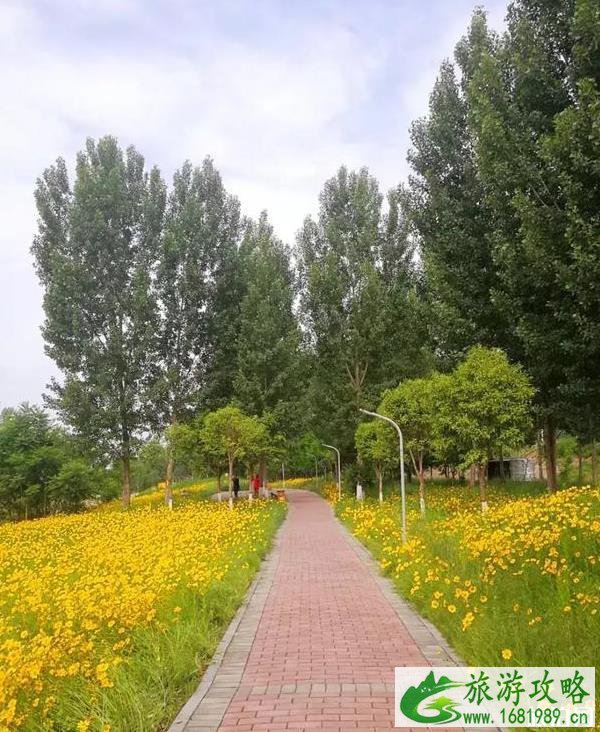 渭河湿地公园在哪里 渭河湿地公园地址在哪儿 渭河湿地公园在哪里 渭河湿地公园地址在哪儿