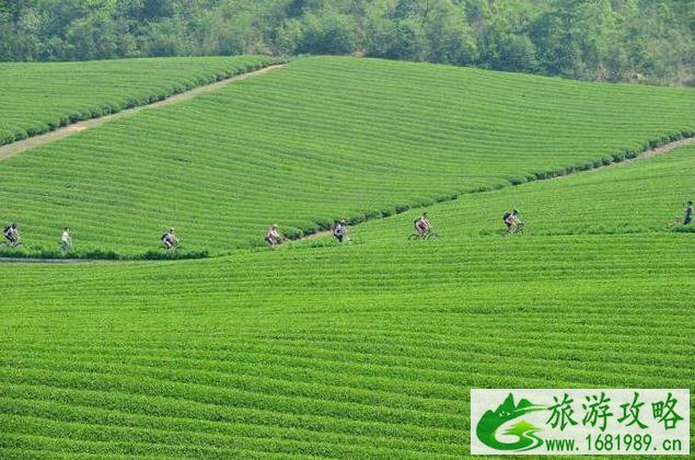 宜兴自行车主题公园门票价格+地址 宜兴自行车主题公园门票价格+地址