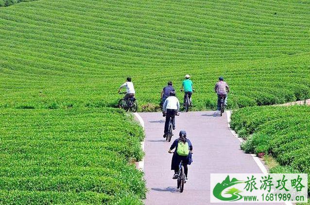 宜兴自行车主题公园门票价格+地址 宜兴自行车主题公园门票价格+地址