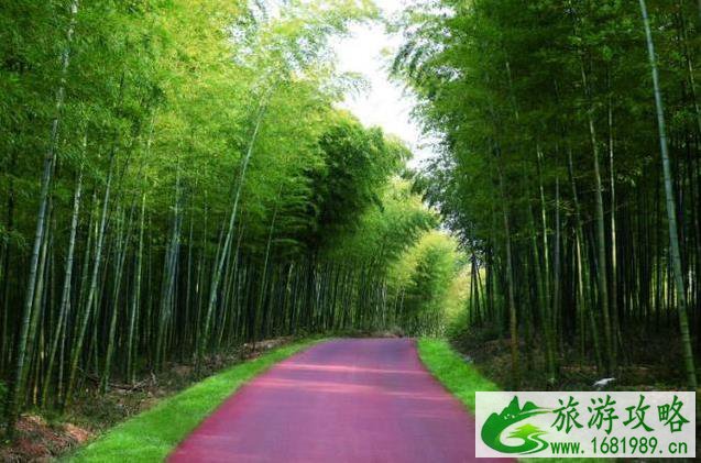 宜兴自行车主题公园门票价格+地址 宜兴自行车主题公园门票价格+地址