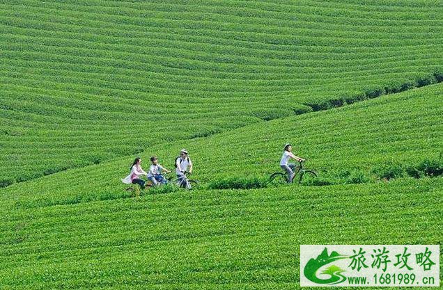 宜兴自行车主题公园门票价格+地址 宜兴自行车主题公园门票价格+地址