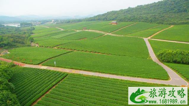 宜兴自行车主题公园门票价格+地址 宜兴自行车主题公园门票价格+地址