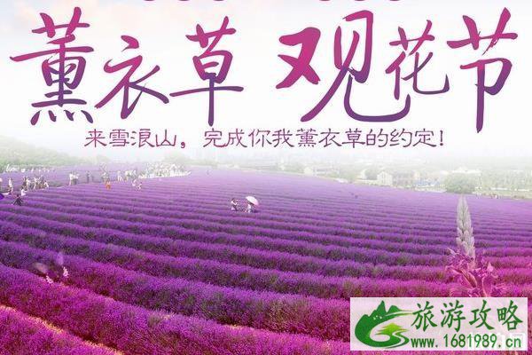 2022年雪浪山薰衣草开放时间+交通指南 2022年雪浪山薰衣草开放时间+交通指南