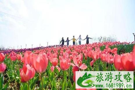 2022商洛景区优惠活动信息汇总(一整年都有效) 2022商洛景区优惠活动信息汇总(一整年都有效)