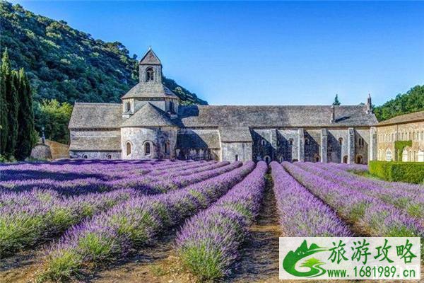 2022普罗旺斯薰衣草几月开 普罗旺斯有什么景点 2022普罗旺斯薰衣草几月开 普罗旺斯有什么景点