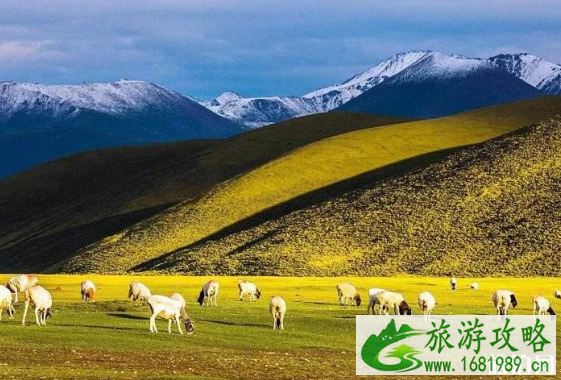 去大西北需要带什么证件