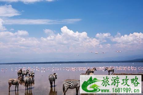 肯尼亚旅行常见问题有哪些 肯尼亚旅行常见问题有哪些