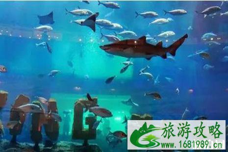 六一带孩子去迪拜有什么好玩的