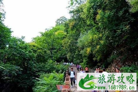 2022母亲节梨木台门票优惠政策+游玩攻略