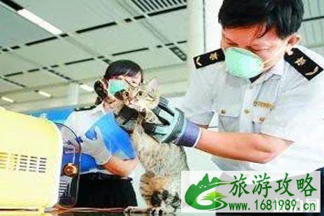 2022中国宠物入境新规整理