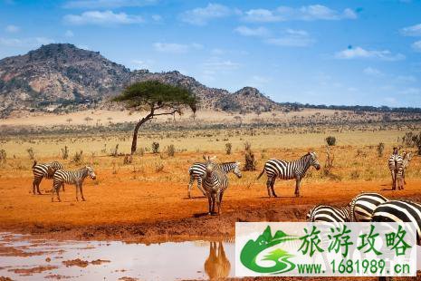 肯尼亚入境卡填写样本 肯尼亚出入境注意事项 肯尼亚入境卡填写样本 肯尼亚出入境注意事项