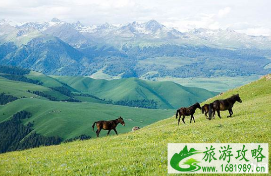 伊犁旅游注意事项 伊犁旅游注意事项