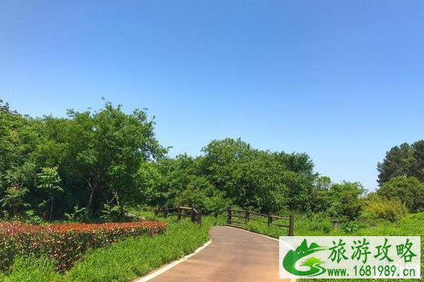 宜兴有哪些免费公园适合骑自行车 宜兴有哪些免费公园适合骑自行车