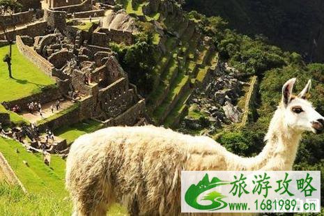 2022端午节火车票什么时候开始预售 端午节去哪旅游比较好国外推荐 2022端午节火车票什么时候开始预售 端午节去哪旅游比较好国外推荐