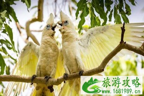 2022端午节火车票什么时候开始预售 端午节去哪旅游比较好国外推荐 2022端午节火车票什么时候开始预售 端午节去哪旅游比较好国外推荐