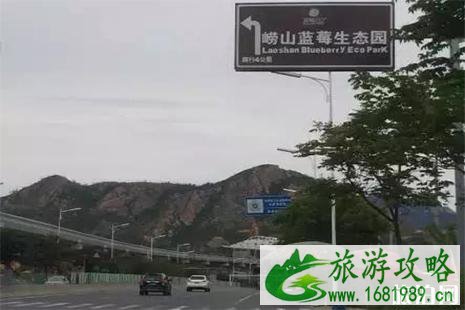 2022崂山蓝莓采摘 附价格信息 2022崂山蓝莓采摘 附价格信息