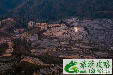 2022元阳梯田老虎嘴景区门票信息 2022元阳梯田老虎嘴景区门票信息