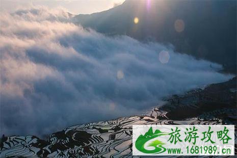 2022元阳梯田老虎嘴景区门票信息 2022元阳梯田老虎嘴景区门票信息