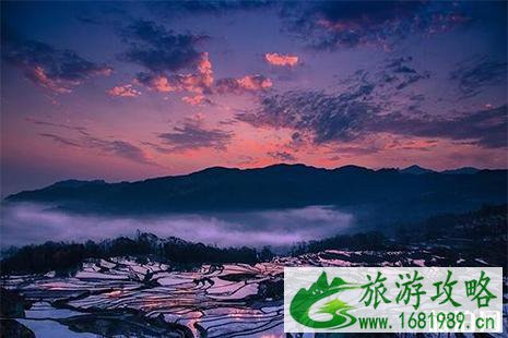 2022元阳梯田老虎嘴景区门票信息 2022元阳梯田老虎嘴景区门票信息