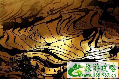 茗岙梯田什么时候去最好