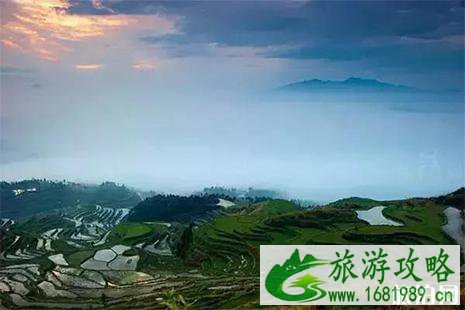 茗岙梯田什么时候去最好