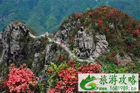 2022广东清远金子山杜鹃花 杜鹃花节活动内容