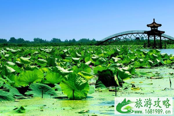 河北适合端午节旅游的景点推荐 河北适合端午节旅游的景点推荐