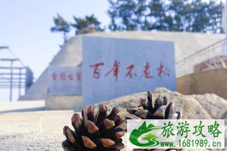 哈仙岛三天两夜海岛之旅攻略