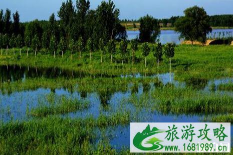 济西湿地公园五一开业 附门票信息
