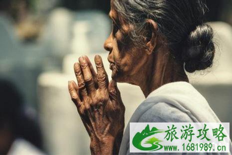 斯里兰卡茶园小火车攻略