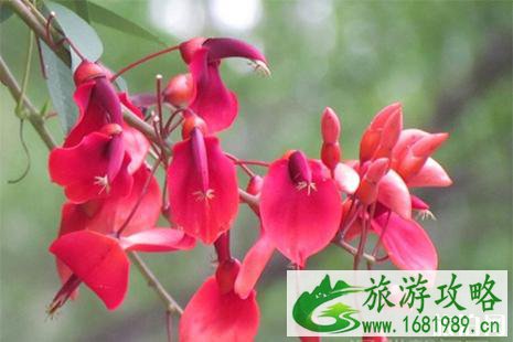 2022五一深圳公园活动汇总
