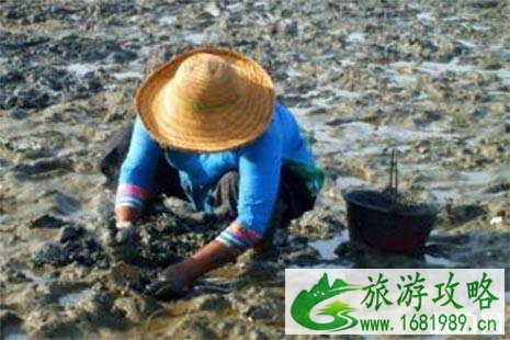 2022红岛蛤蜊节4月30日至5月5日开启