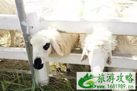 2022泰国落地签免费时间延长了吗 2022五一泰国华欣旅游攻略 2022泰国落地签免费时间延长了吗 2022五一泰国华欣旅游攻略