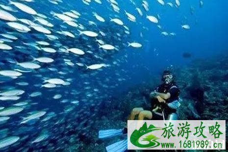 泰国潜水多少钱 泰国游艇多少钱