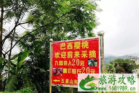 钦州五皇山樱桃采摘 价格+交通 钦州五皇山樱桃采摘 价格+交通