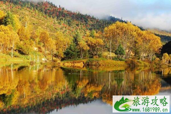 普达措国家公园好玩吗 普达措国家公园攻略