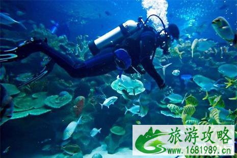 富国海底世界和太平洋海底世界哪个好玩