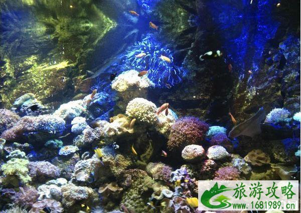芽庄海岛游穿什么衣服 芽庄海岛游穿什么衣服