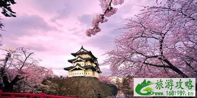 去日本旅游必去的景点 去日本旅游必去的景点