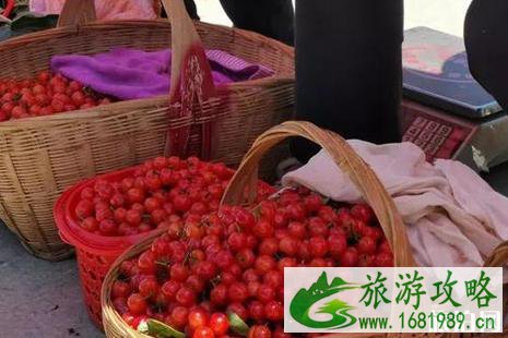 2022简阳樱桃节是什么时候+价格+交通+活动攻略 2022简阳樱桃节是什么时候+价格+交通+活动攻略