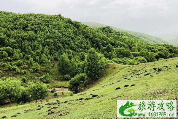 北京周边三天自驾游路线推荐 北京周边三天自驾游路线推荐