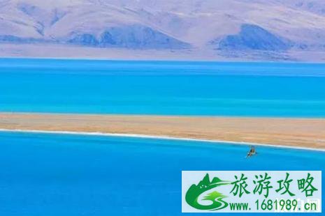 阿里旅游景点门票大全
