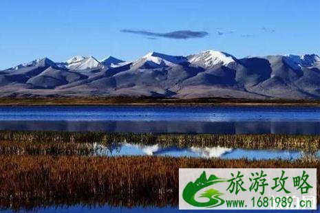 阿里旅游景点门票大全