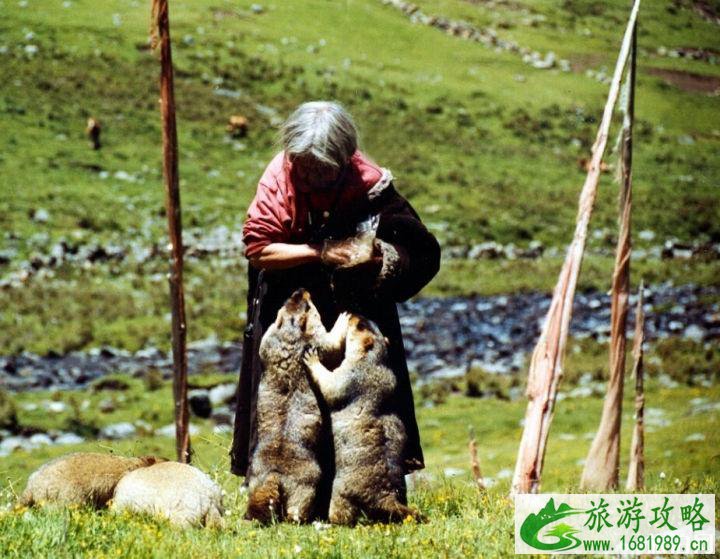 哪些小镇适合一个人住一周 哪些小镇适合一个人住一周