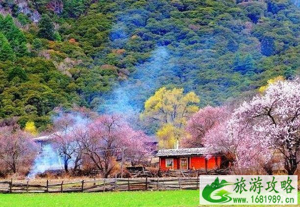 哪些小镇适合一个人住一周 哪些小镇适合一个人住一周