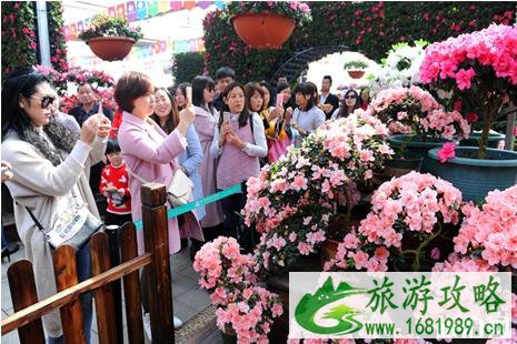 2022第十六届中国杜鹃花展览时间+地点+活动介绍 2022第十六届中国杜鹃花展览时间+地点+活动介绍