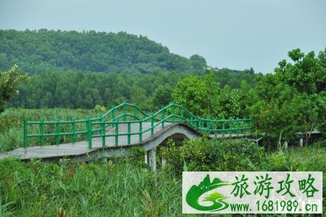 淇澳岛红树林开放了吗 2022淇澳岛红树林预约指南