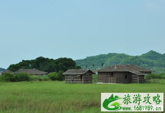 淇澳岛红树林开放了吗 2022淇澳岛红树林预约指南