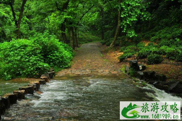 九溪烟树游玩攻略 九溪烟树游玩攻略
