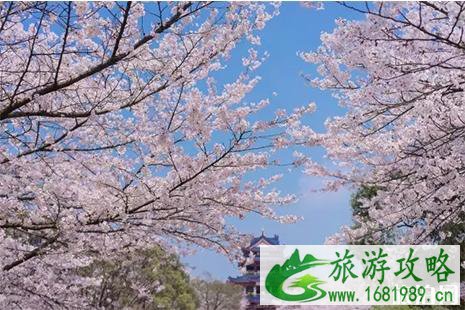 鼋头渚有什么好玩的 鼋头渚游玩攻略 鼋头渚有什么好玩的 鼋头渚游玩攻略